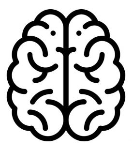 Mózg i układ nerwowy
