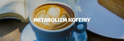 metabolizm kofeiny