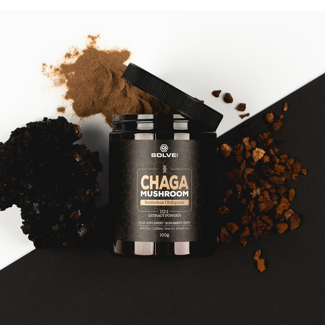 Chaga grzyb