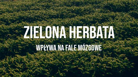 Zielona herbata - wpływ na funkcje poznawcze i aktywnośc fal mózgowych alfa