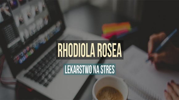 Rhodiola rosea - lekarstwo na stres